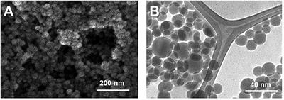 Electrochemical Determination of Nicotine in Tobacco Products Based on Biosynthesized Gold Nanoparticles